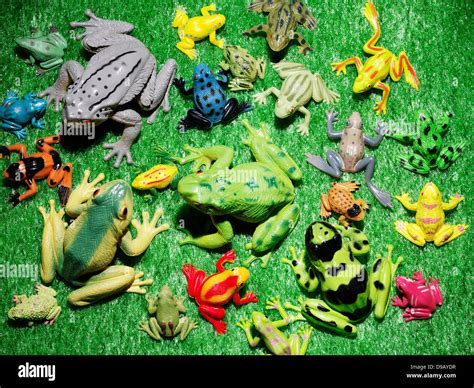 Various Rubber Frog Toys Hi Res Stock Photography And Images Alamy