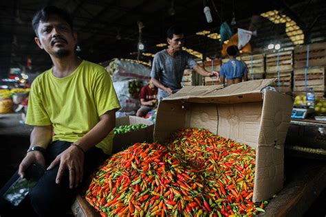 Harga Cabai Rawit Di Pasar Induk Kramat Jati Tembus Rp100 000 Per Kilogram