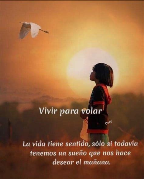 14 Vivir Para Volar Frases Bonitas For You frases de motivação curtas