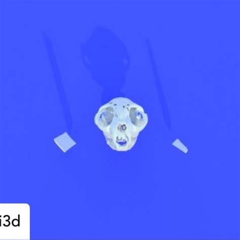 Posted Withrepost Embodi3d If You Are A Veterinarian Doctor You Can