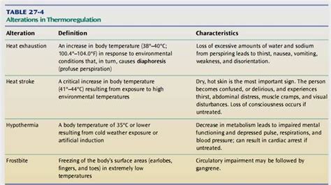 Nursing Diagnosis Electrolyte Imbalance Perfect Docs Hot Sex Picture