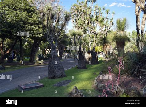 Mexico City University Botanical Garden Stock Photo Alamy