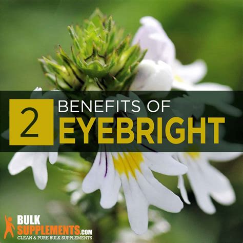 Eyebright Extract: Benefits, Side Effects & Dosage