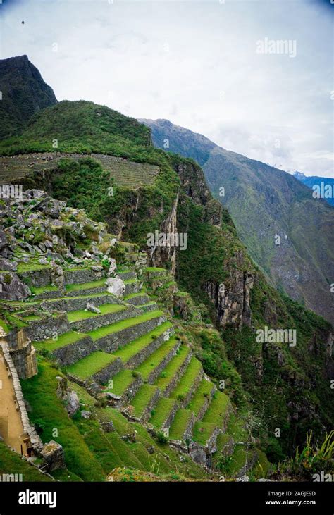 The Terraces Or Agricultural Platforms Of The Inca Empire Machu Picchu