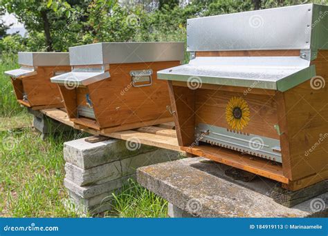 Decorated Beehives In A Garden On A Sunny Day Stock Image Image Of