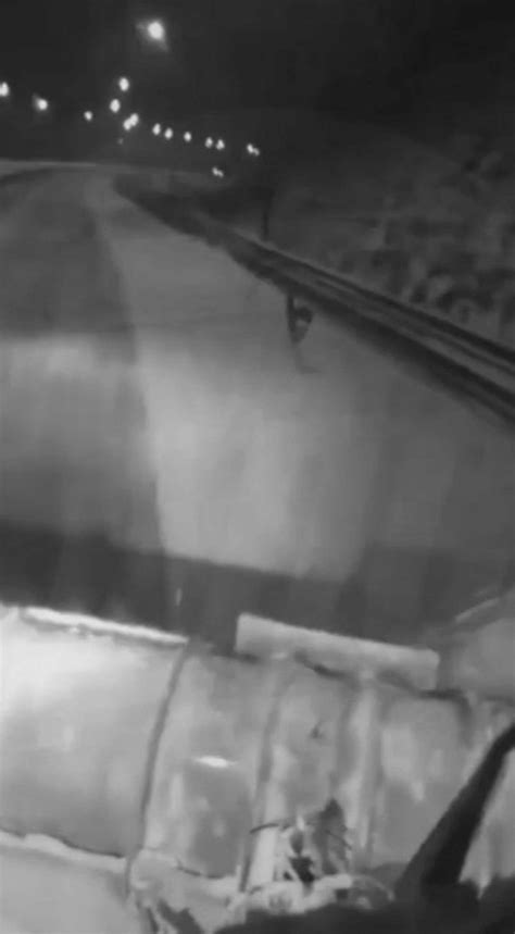 Cruel Snowplough Driver Chases After Terrified Deer