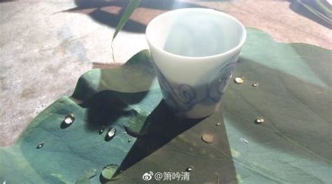 禅茶：轻安滋味妙无穷新浪佛学新浪网