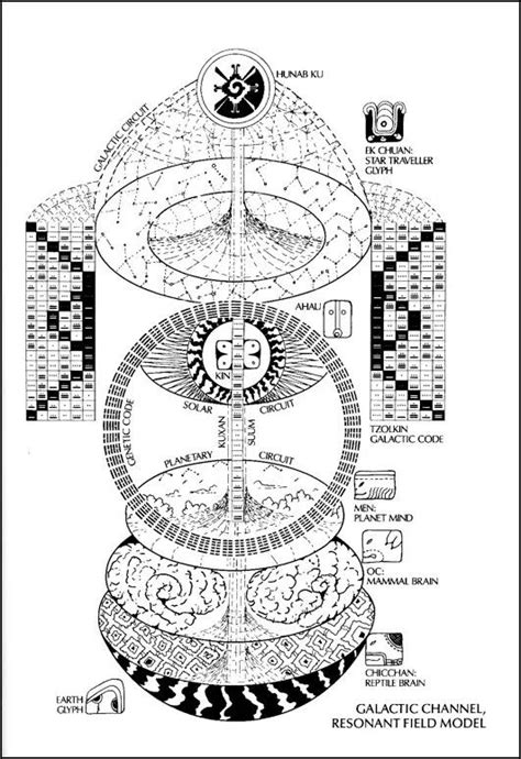 Tzolkin maya Simbolos espirituales Calendario cósmico Sellos de