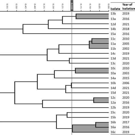 Hca Differentiation By Patient Dendrogram Of 25 Longitudinal Bcc Download Scientific Diagram