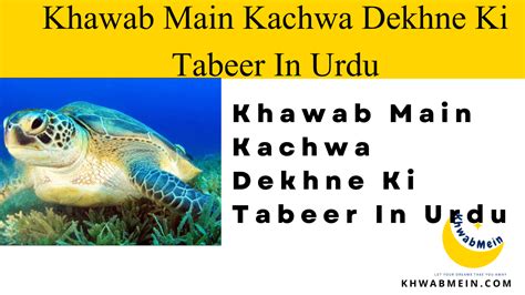 Khawab Main Kachwa Dekhne Ki Tabeer In Urdu Khwabmein