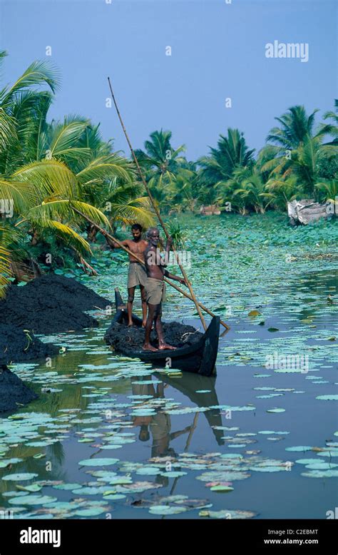 Kerala Backwaters Kerala India Stock Photo - Alamy