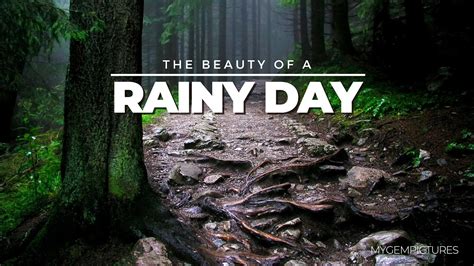 The Beauty Of A Rainy Day 4k Uhd Amazing Nature Scenery In