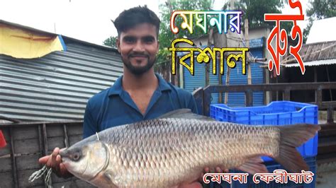 মেঘনার মাছ বাজার ছোট বড় মাছে ভরে গেছেsurprise River Fish Marketদেশী