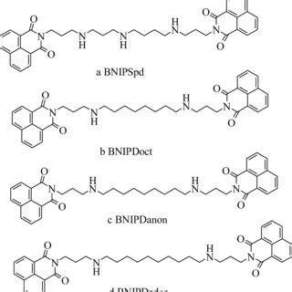 Bisnaphthalimidopropyl derivatives. | Download Scientific Diagram