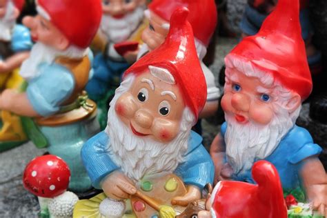 Guide to Garden Gnomes | Puls Agency