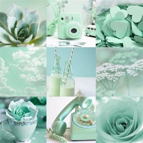 Mint Green Mood Board Mint Green Aesthetic Mint Green Wallpaper