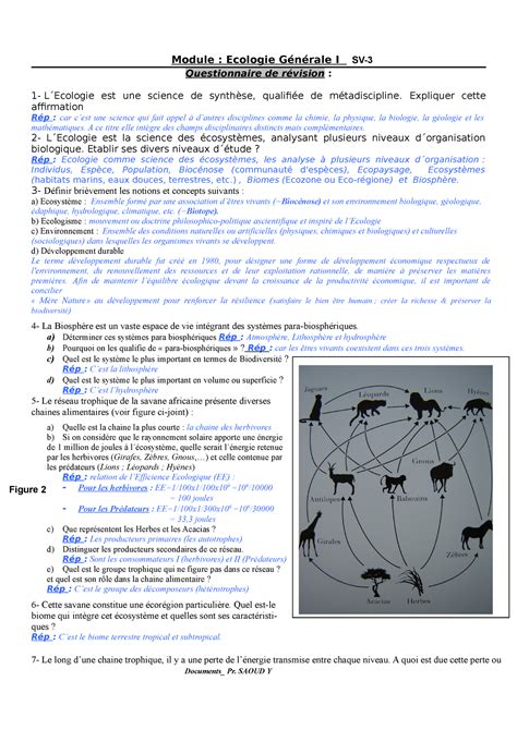 Questionnaire R Vision Sv R Ponses Module Ecologie G N Rale I Sv