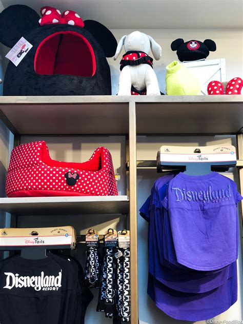 Fido Wants A Spirit Jersey Too Pet Spirit Jerseys Debut In Disney