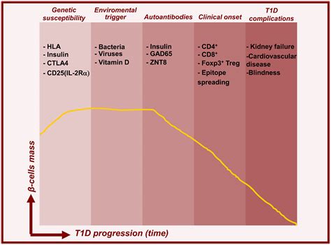 Frontiers Immune Regulation In T1d And T2d Prospective Role Of Foxp3