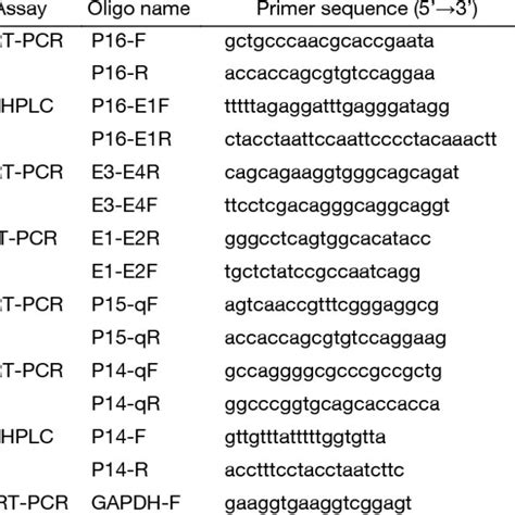 Sequences Of Oligonucleotides Used As Primers In Various Polymerase Download Table