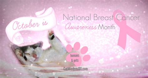 Breast Cancer Awareness Month Cats Cat Wisdom 101