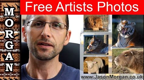 wildlife reference photos - Free Photo Friday - Jason Morgan art ...