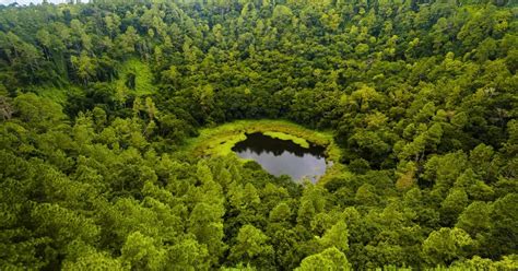 Trou Aux Cerfs Dormant Volcano In Mauritius Travel Guide