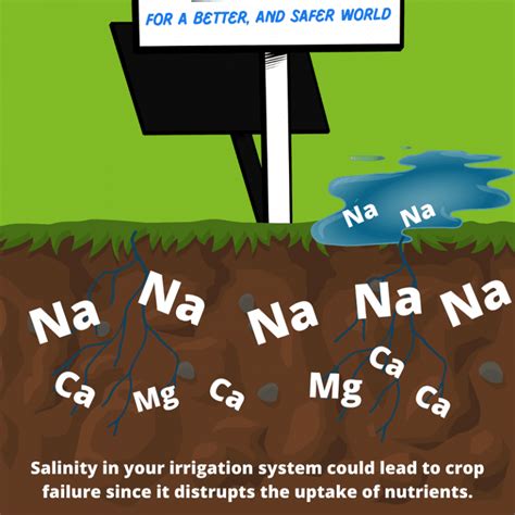 Salinity In Water Irrigation Systems Monitoring Solutions AGQ Labs USA