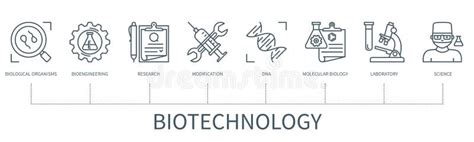 Infografía Vectorial De Biotecnología En Un Estilo De Contorno Mínimo