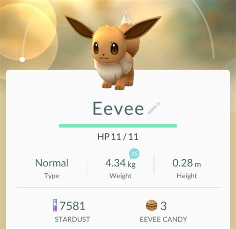 Pokemon Evolution Chart Eevee