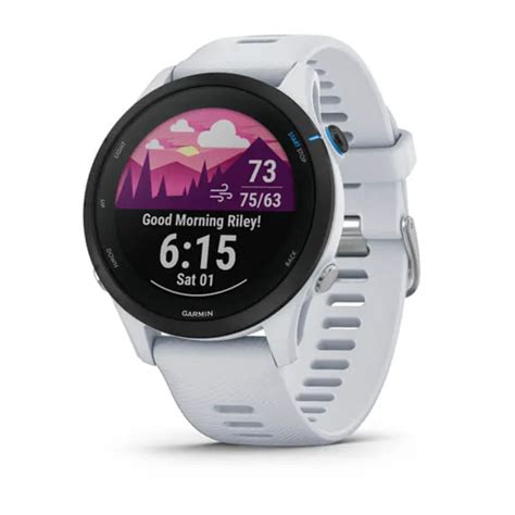 Garmin Forerunner 255S Music Whitestone GoMarket Do