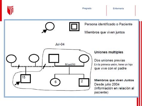 SESION 2 Instrumentos de intervención ficha familiar familiograma