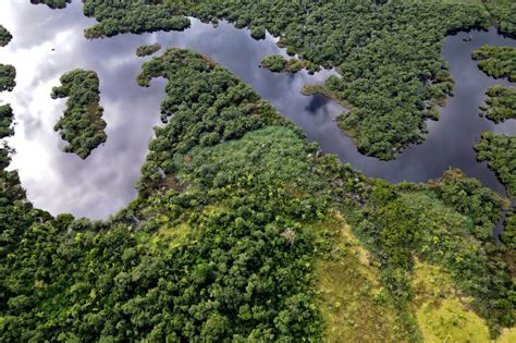 Instituto Gua E Terra Promove A Es Culturais E Sustent Veis Na Semana