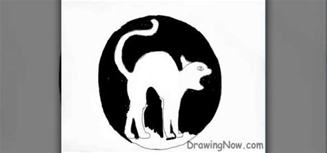 How to Draw a Halloween cat « Drawing & Illustration :: WonderHowTo