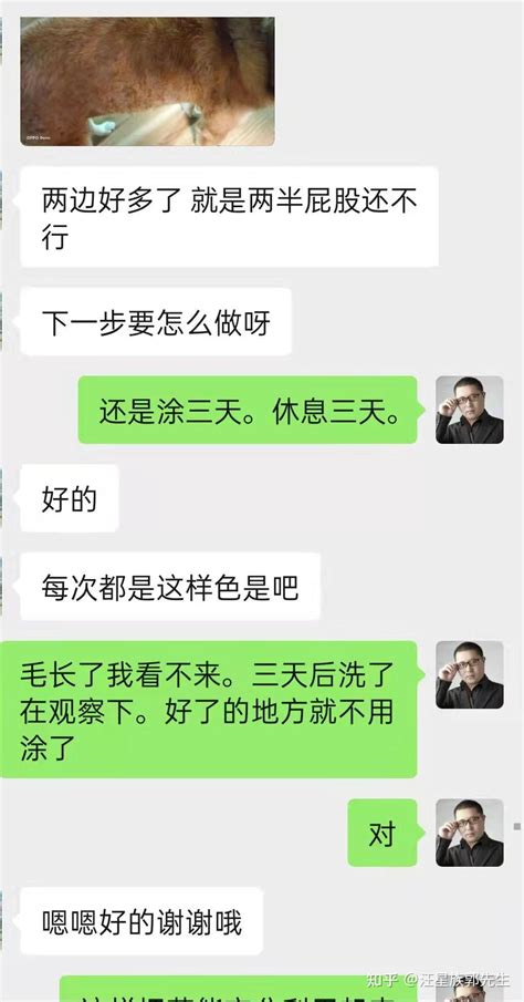 柴犬严重皮肤病 历时三个月治疗康复过程 知乎