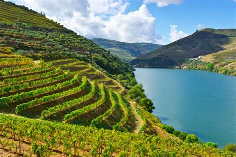 Full day trip in Douro Valley with Lunch, Boat Trip and Wine Tasting ...