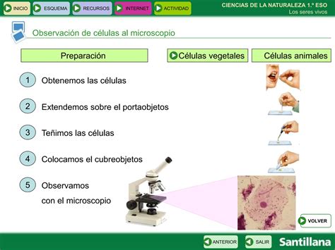 Tema Los Seres Vivos Y Sus Caracteristicas Ppt