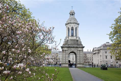 Trinity Research In Childhood Centre Tricc Trinity College Dublin