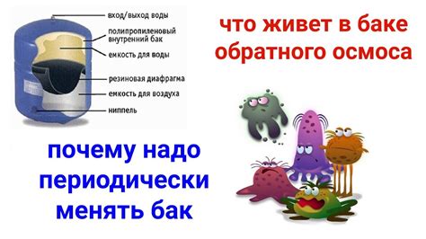 Что внутри бака обратного осмоса. Почему надо периодически менять бак ...