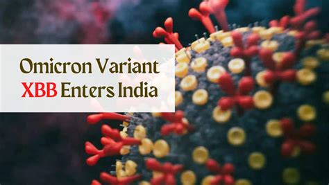 New Omicron Variant XBB Enters India Maharashtra Government Warns Of