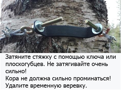 Крепление для скворечника и бельчатника купить