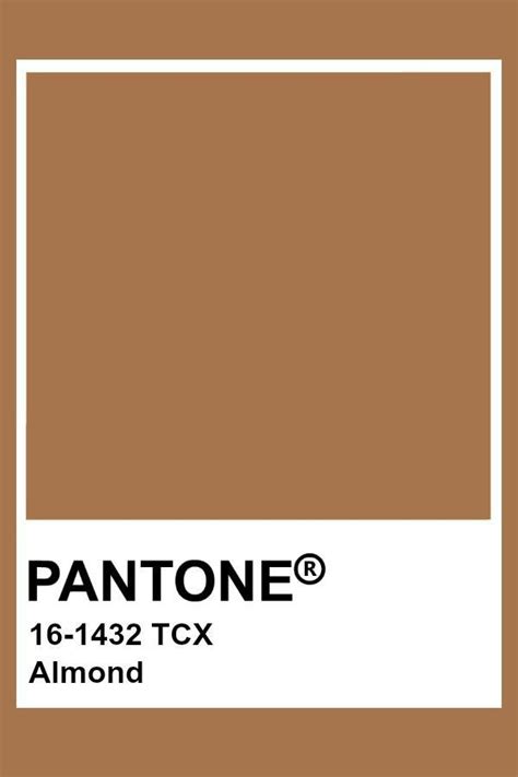 Pin By Leafed Pages On Wedding In 2024 Pantone Colour Palettes