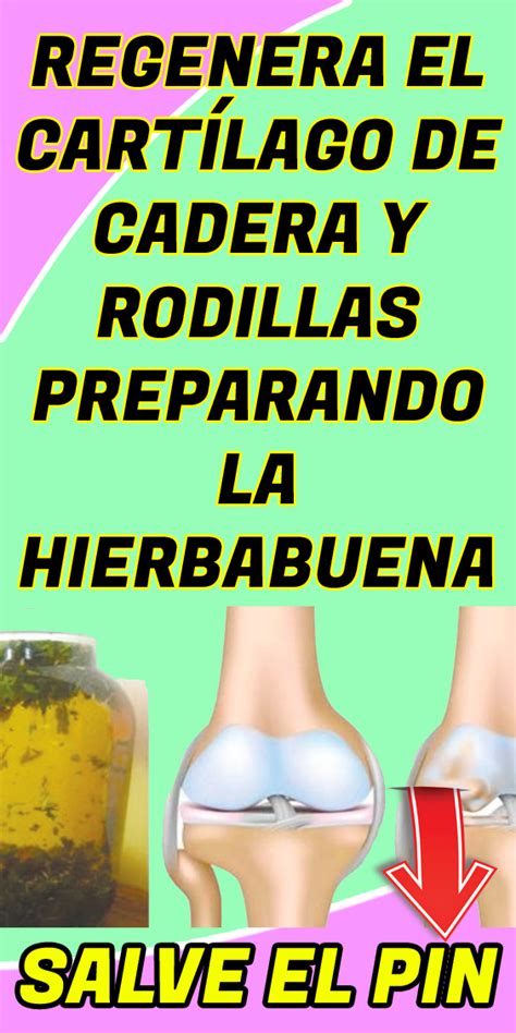 Regenera el cartílago de cadera y rodillas preparando la hierbabuena