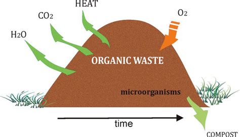 Municipal Sewage Sludge Variability Biodegradation Through Composting