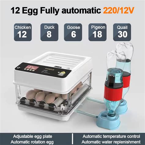 220V 12V Egg Incubator 12 24 36 48 64 130 Eggs Fully Automatic Egg