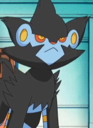 Luxray (Character) – aniSearch.com