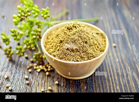 Coriander Powder In A Bowl Umbrella Immature Green Coriander Seeds On