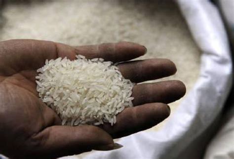 Traders Demand Flat Export Duty On Parboiled Rice Rediff Business