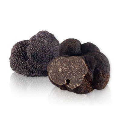 Tartufo moscato (nero invernale) | Compra online Moscato Tartufi.