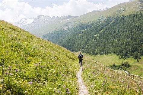 Fextal Val Fex Fexgletscher Wanderweg Blumenweg Wanderer